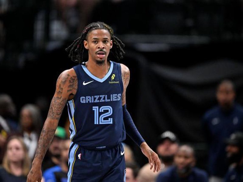 乐鱼官网平台介绍